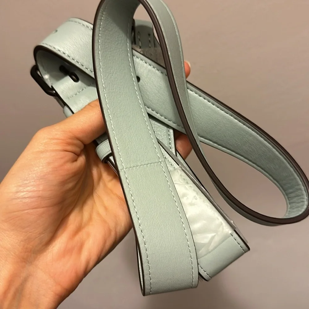 LIGHT BLUE LARGE SIZE COACH PILLOW TABBY - Picture 9 of 9